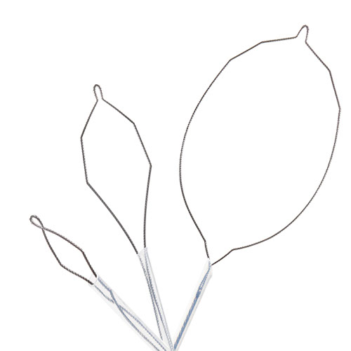 Endoterapi Resektion