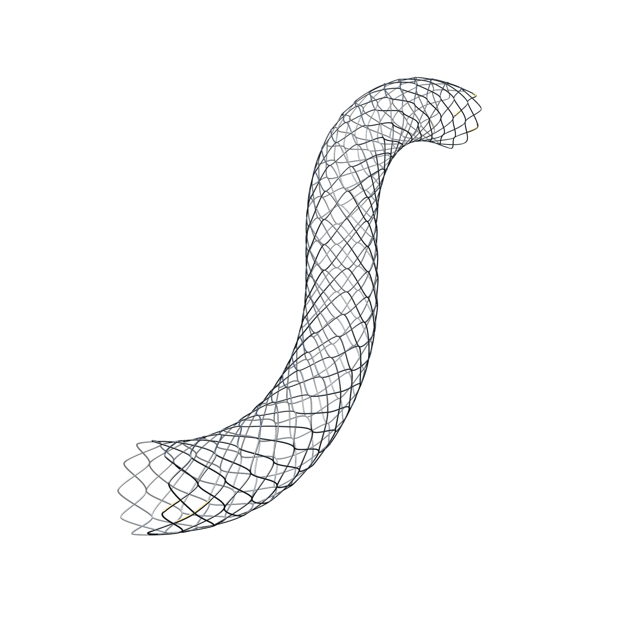 biliary_d type_2x